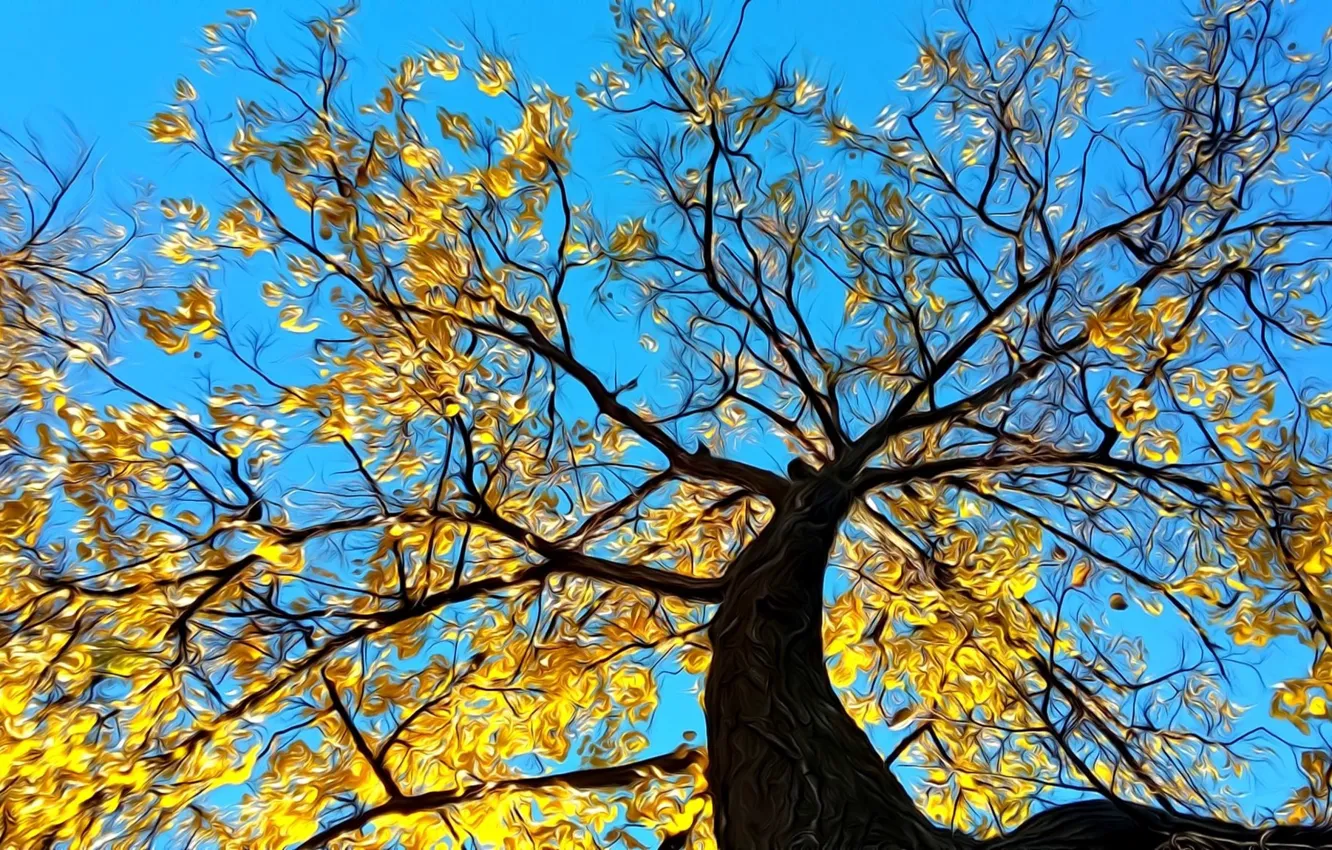 Фото обои осень, небо, рендеринг, дерево, ветви, листва