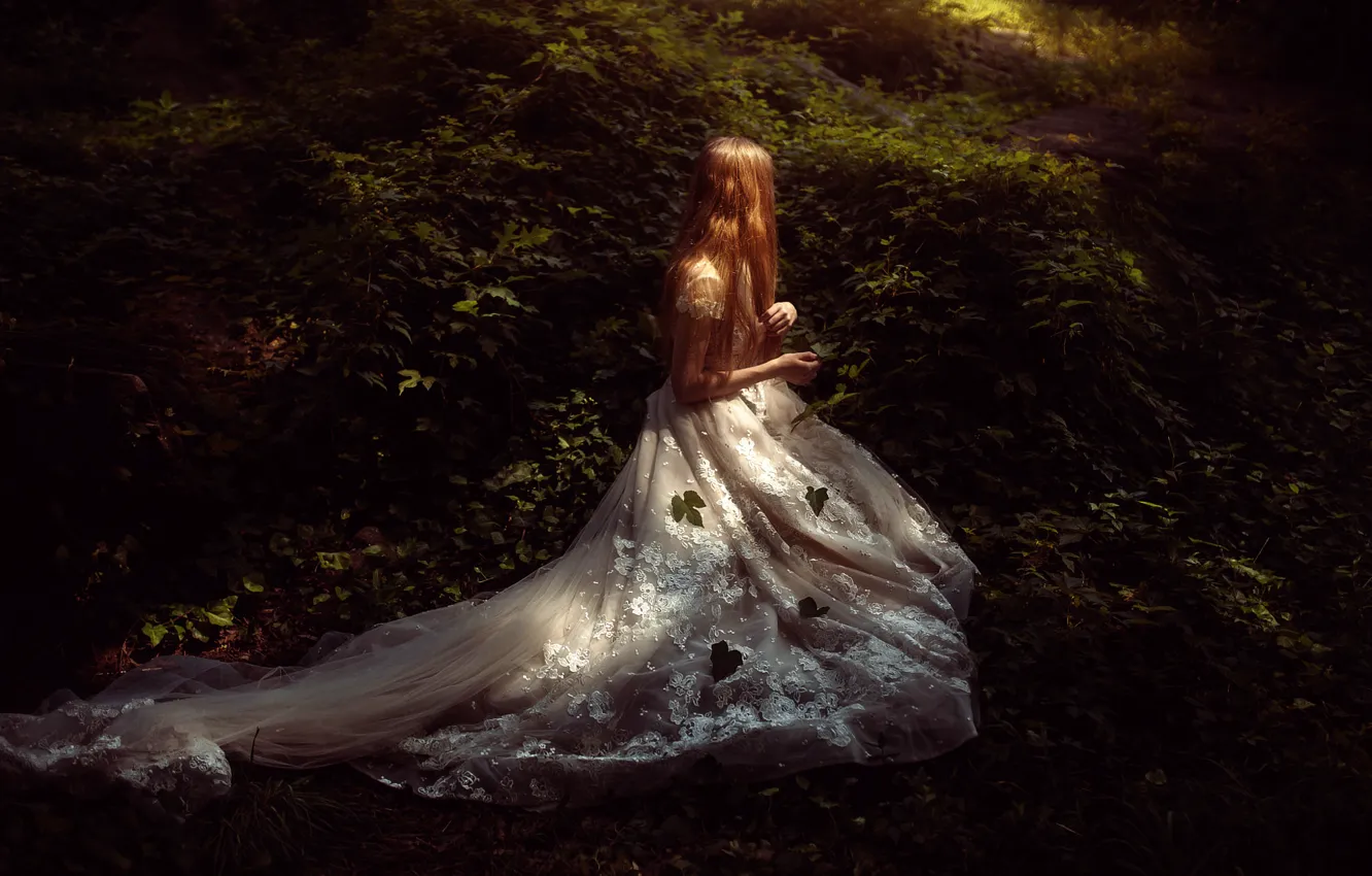 Фото обои лес, листья, девушка, платье, TJ Drysdale, Secret Place