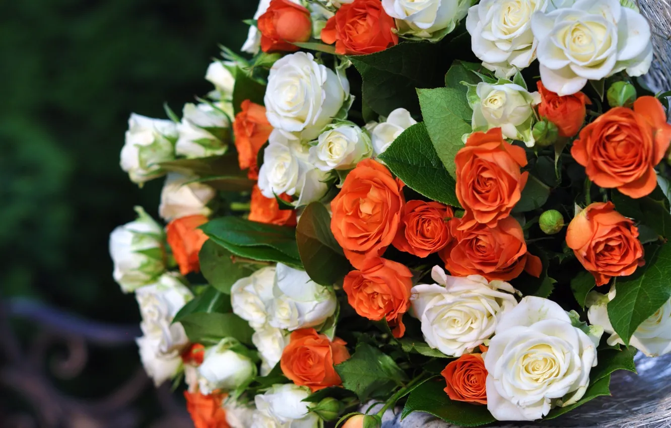 Фото обои цветы, белые, оранжевые, бутоны, букет роз