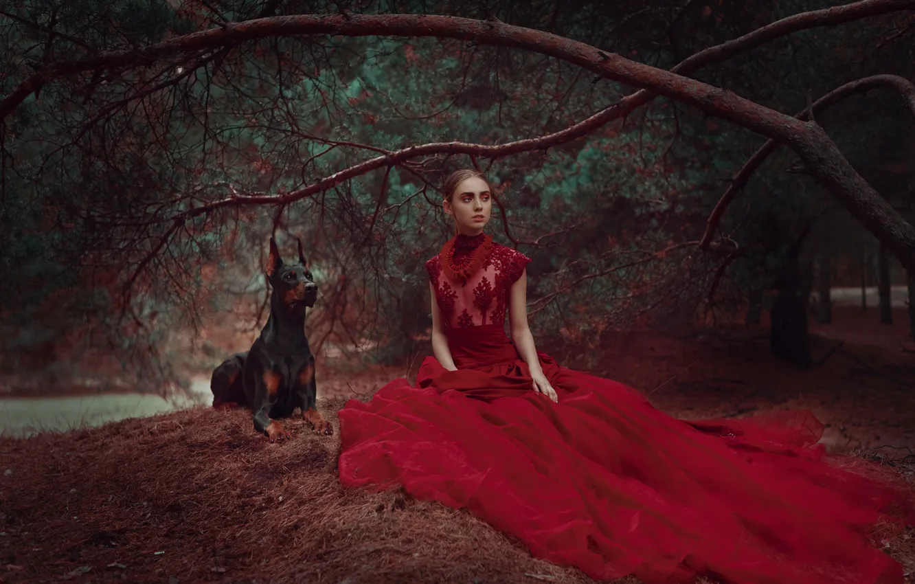 Фото обои лес, девушка, ветки, стиль, собака, платье, сосны, красное платье