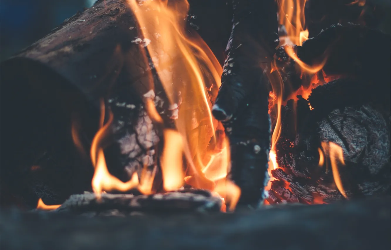 Фото обои огонь, костер, дрова, угли
