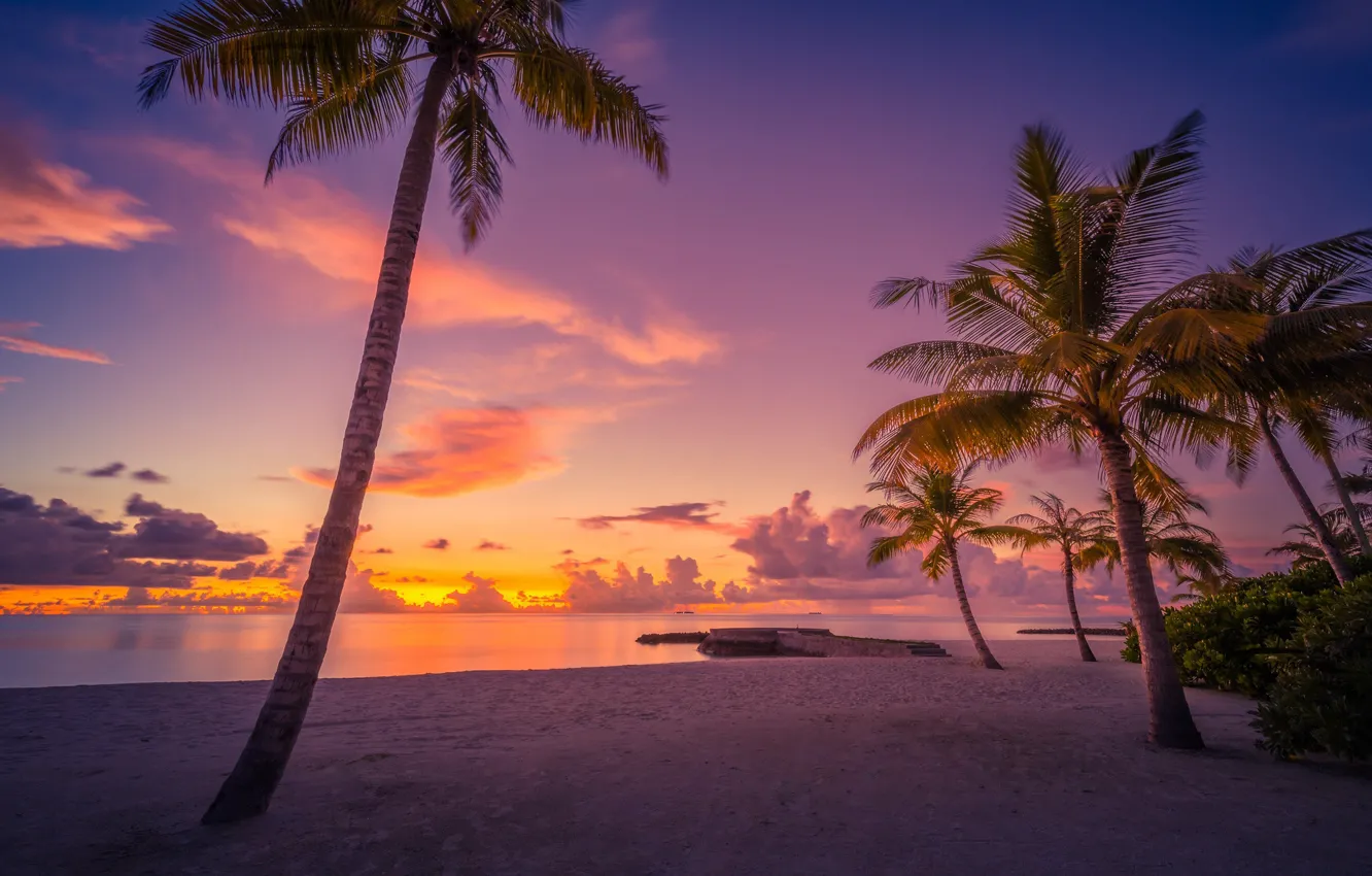 Фото обои пляж, закат, пальмы, океан, Мальдивы, Maldives, Индийский океан, Indian Ocean