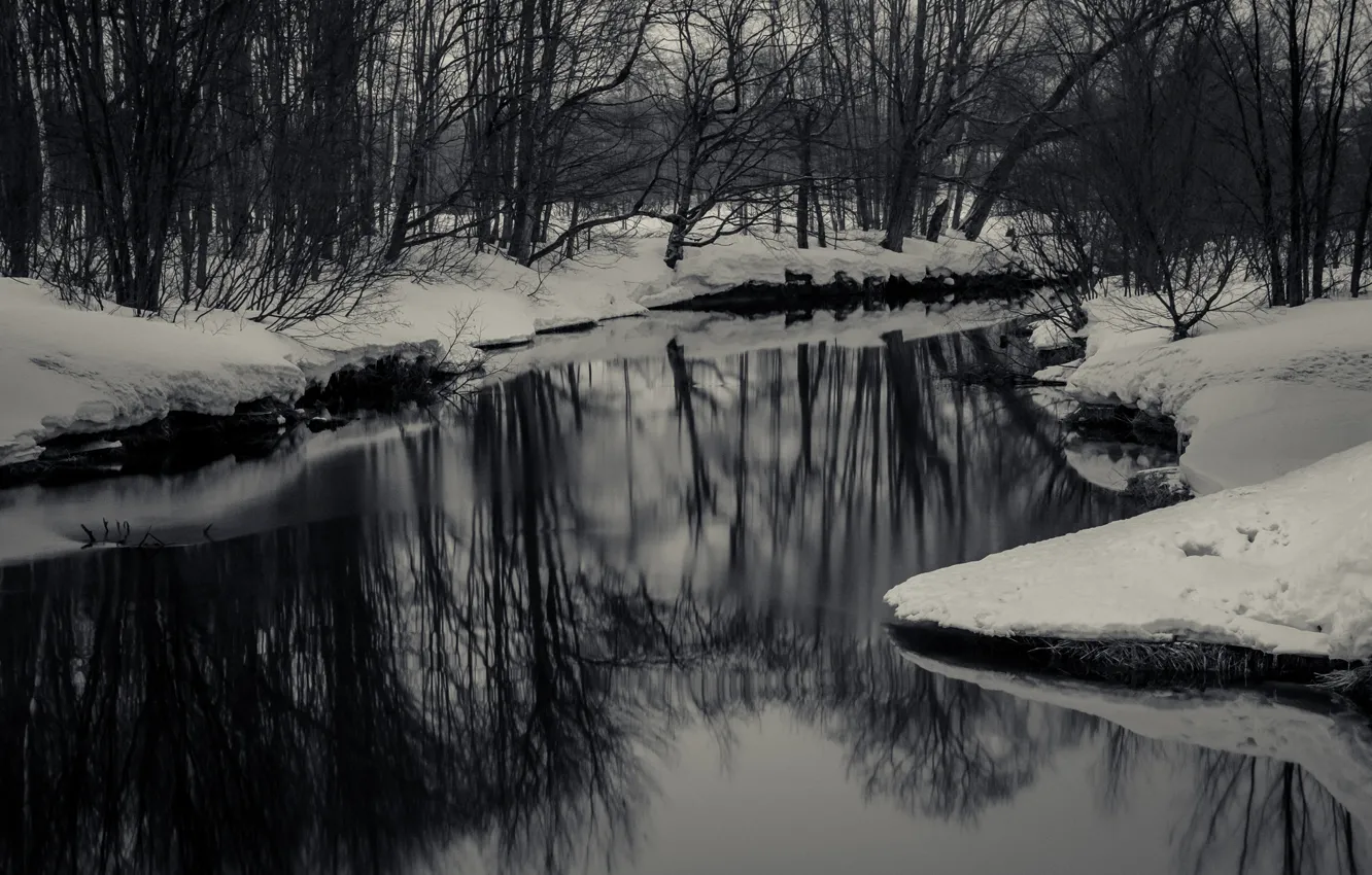 Фото обои river, trees, winter, snow, reflection