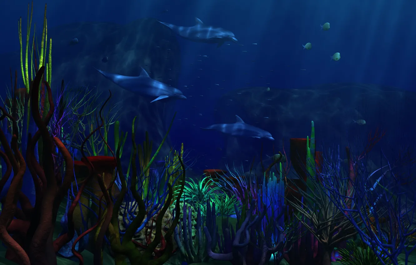 Фото обои рыбки, дно, кораллы, дельфины