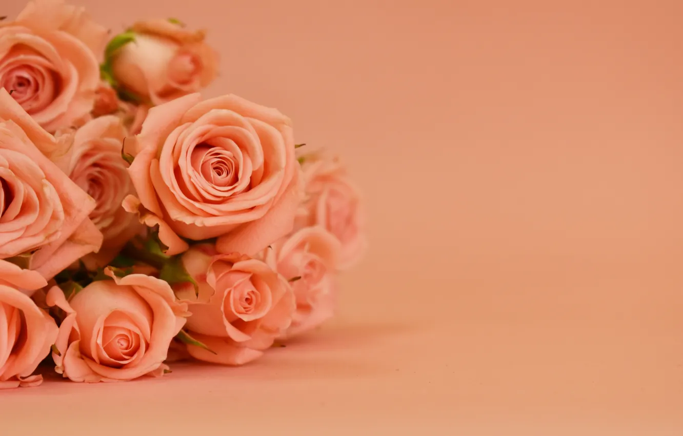 Фото обои фон, розы, букет, красивые, Victoria Dunn