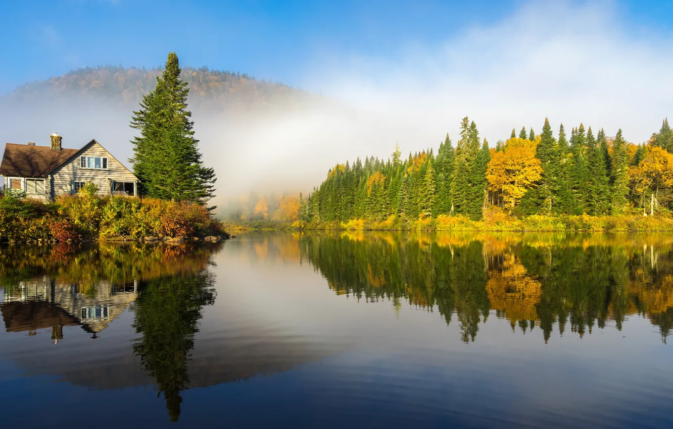 Фото обои осень, лес, небо, солнце, деревья, горы, туман, озеро