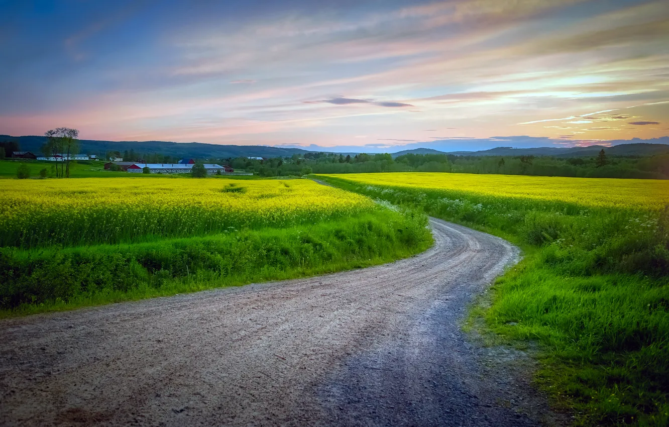 Фото обои дорога, поле, небо, облака, Швеция, Вермланд, Värmland