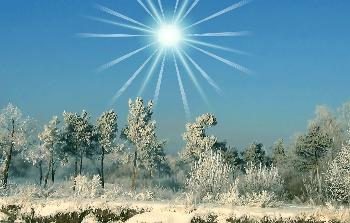 Фото обои зима, иней, снег, Солнце, сказочный лес