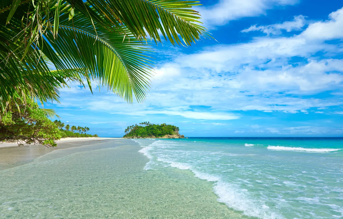 Фото обои песок, море, пляж, лето, пальмы, summer, beach, sea