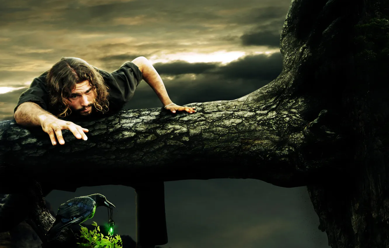 Фото обои природа, обрыв, дерево, птица, мужчина, ворон, фантатстика, search hallucinating