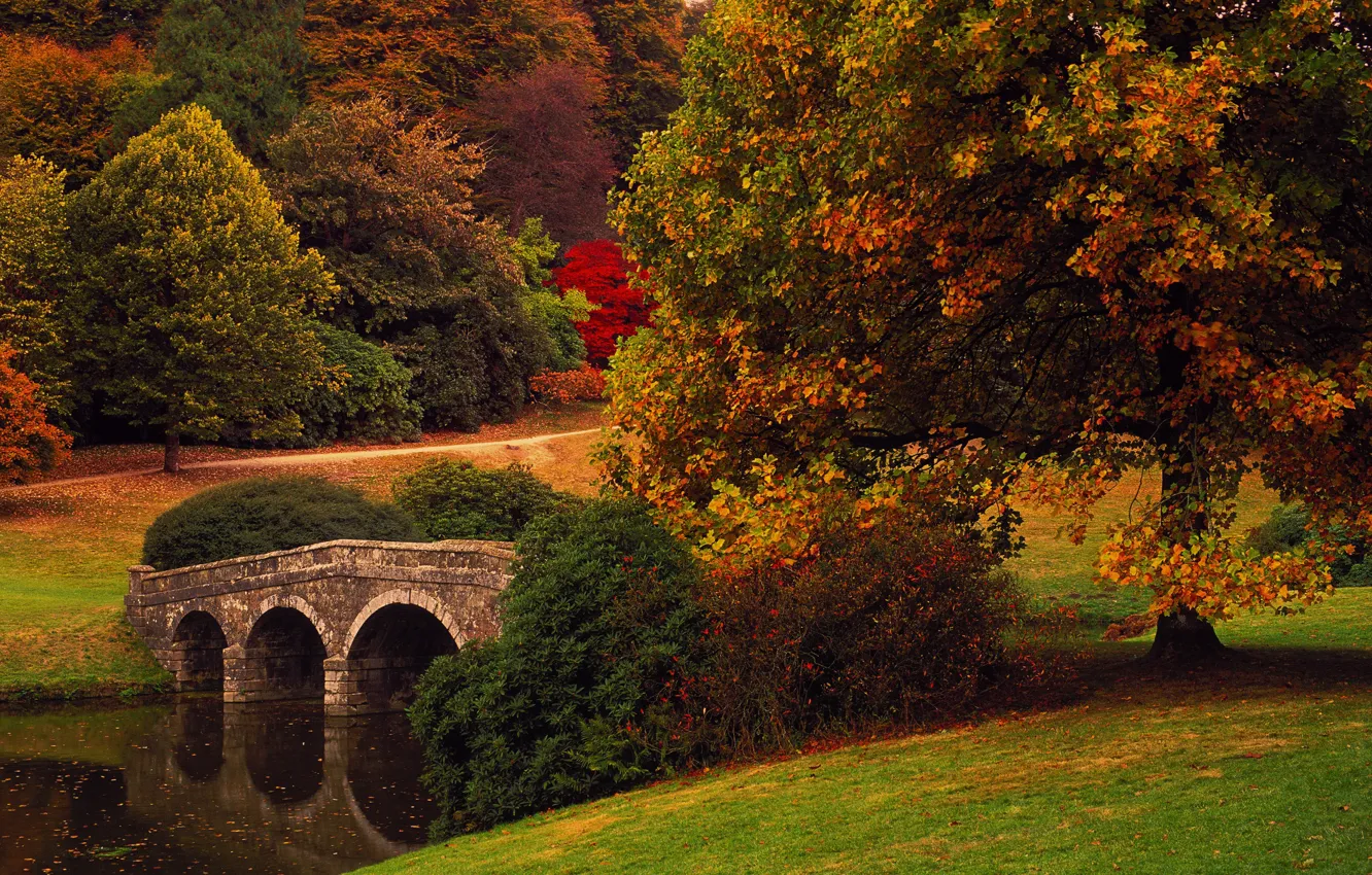Фото обои осень, деревья, мост, парк, Англия, Уилтшир