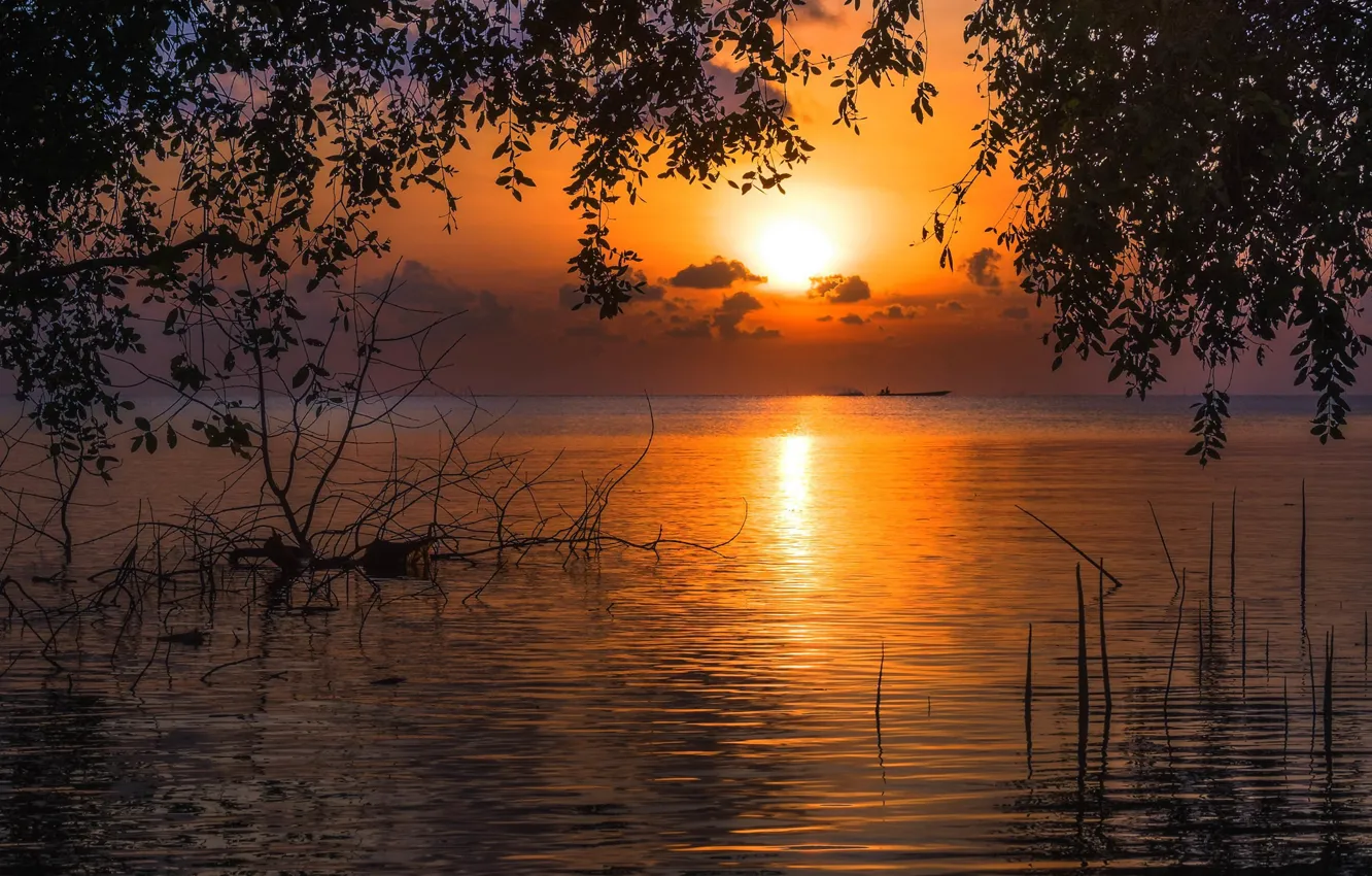 Фото обои вода, пейзаж, закат, природа, озеро, вечер