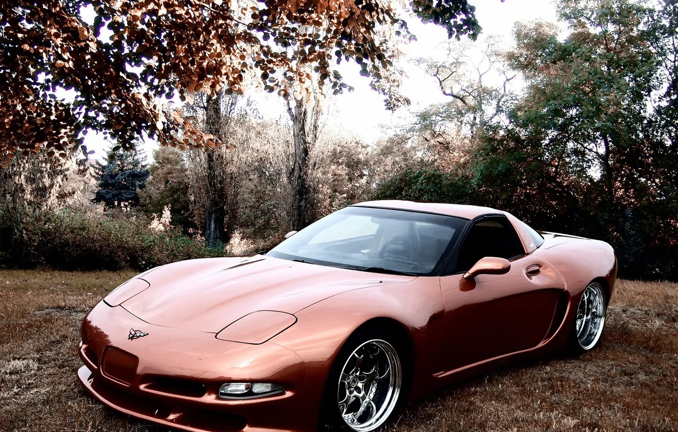 Фото обои корвет, chevrolet corvette, шевролет