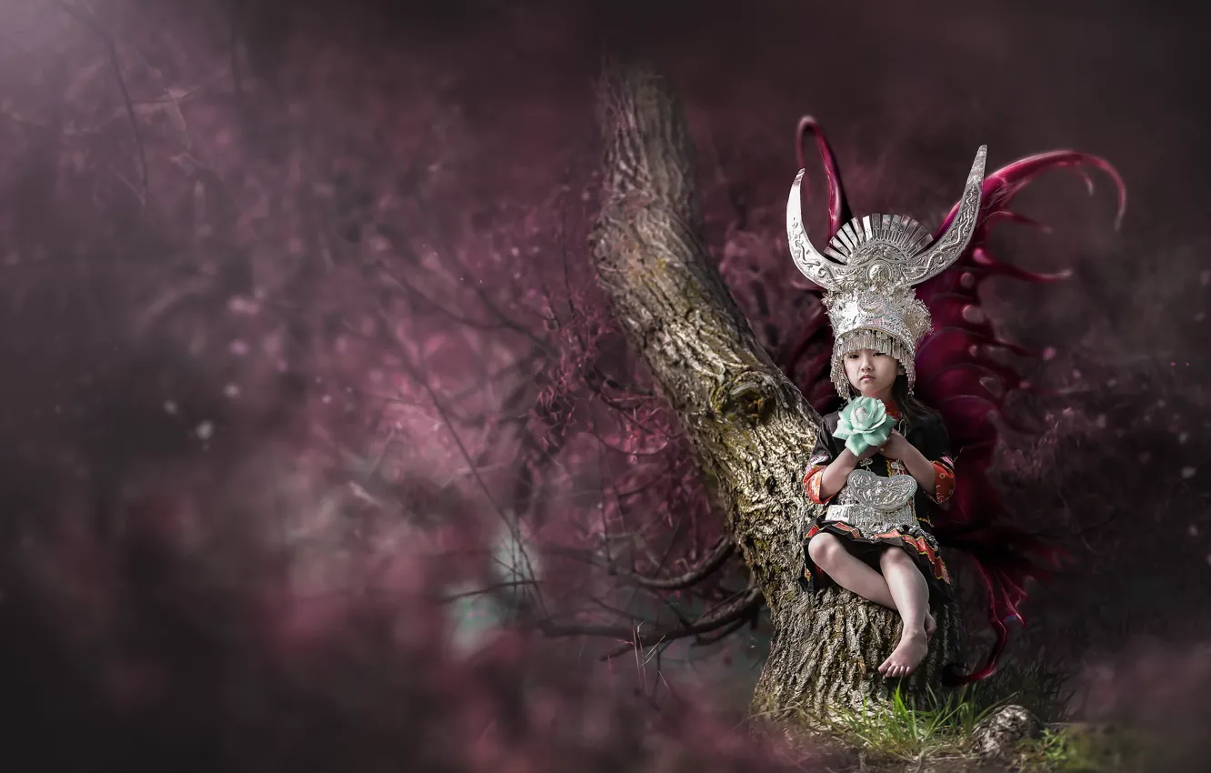 Фото обои взгляд, фон, девочка