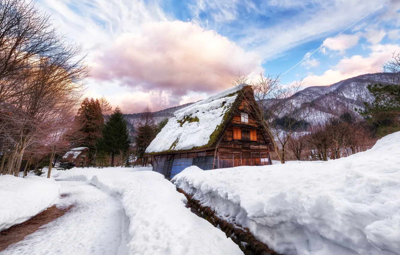 Фото обои зима, дорога, снег, дом