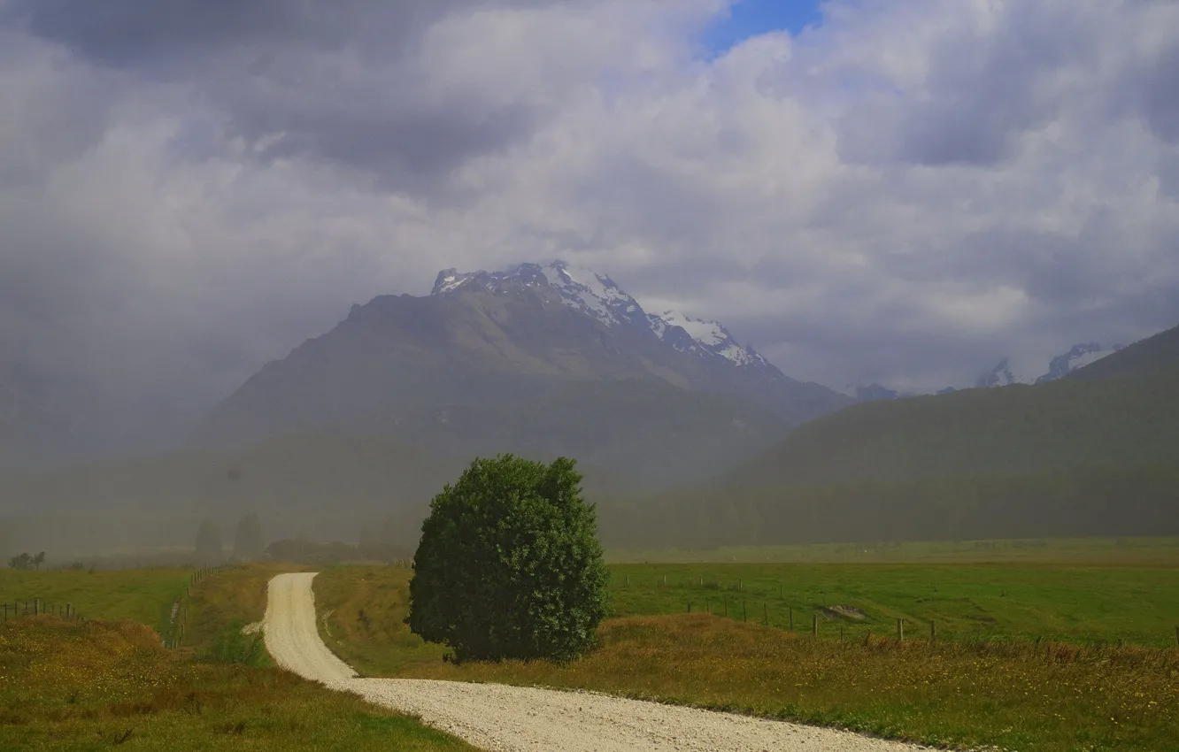 Фото обои дорога, поле, горы, туман, дерево, Новая Зеландия