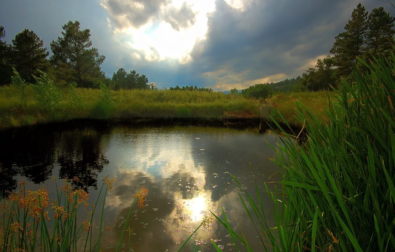 Фото обои трава, вода, облака, свет, деревья, озеро, отражение