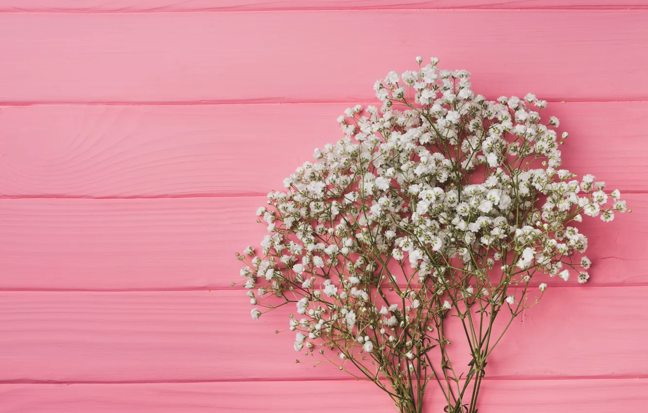 Фото обои цветы, фон, розовый, pink, flowers, background, wooden, spring