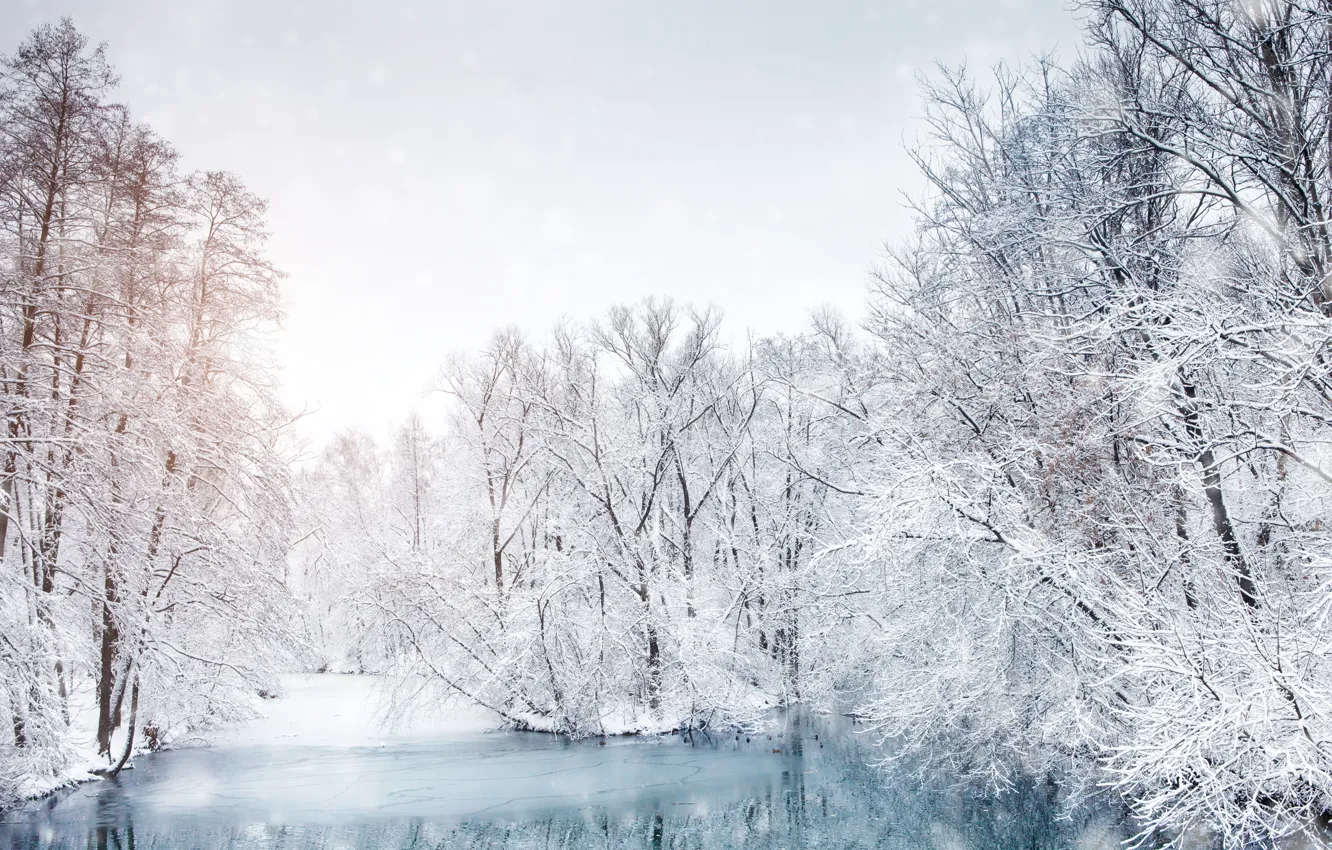 Фото обои лед, зима, снег, деревья, пейзаж, озеро, trees, landscape