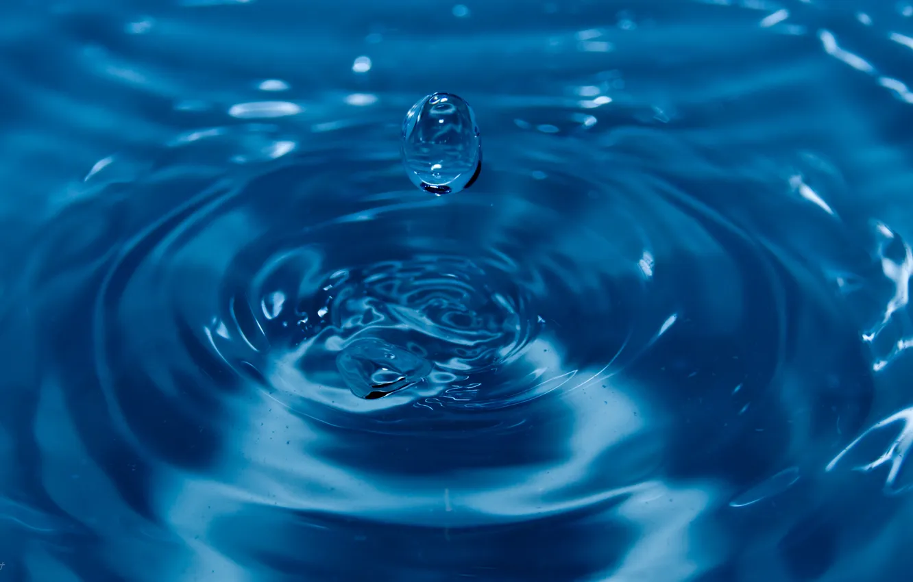 Фото обои вода, макро, синий, капля