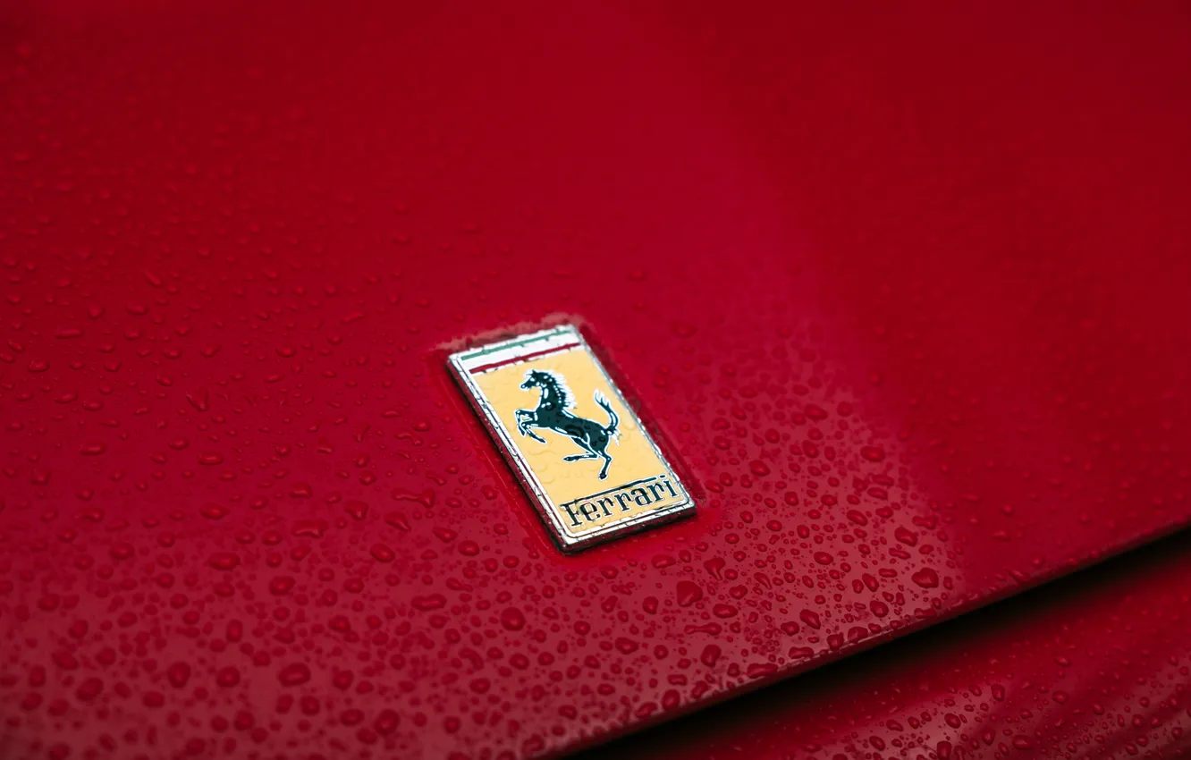 Фото обои Ferrari, logo, 575, badge, Ferrari 575M Maranello