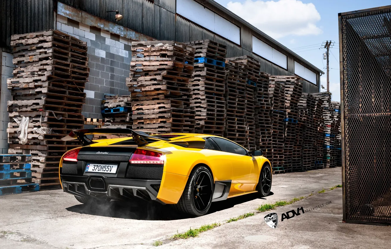 Фото обои Lamborghini, жёлтая, Murcielago, adv1
