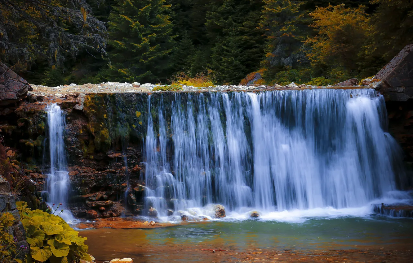 Фото обои осень, лес, берег, водопад, поток