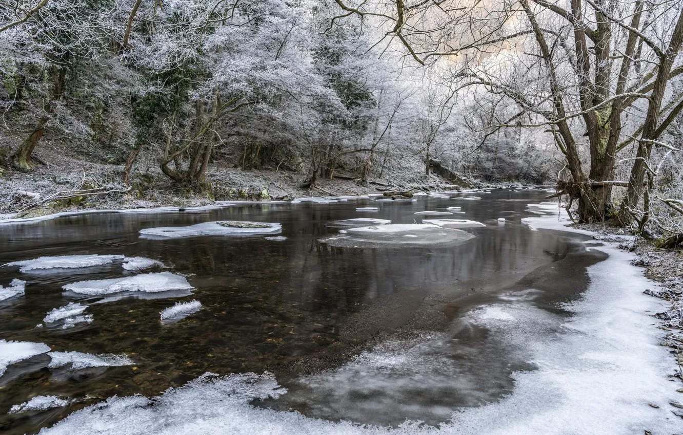 Фото обои зима, иней, снег, деревья, река, утро, мороз