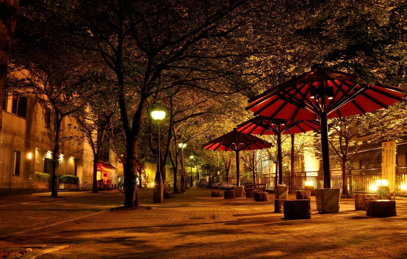 Фото обои парк, Япония, зонтики, Киото