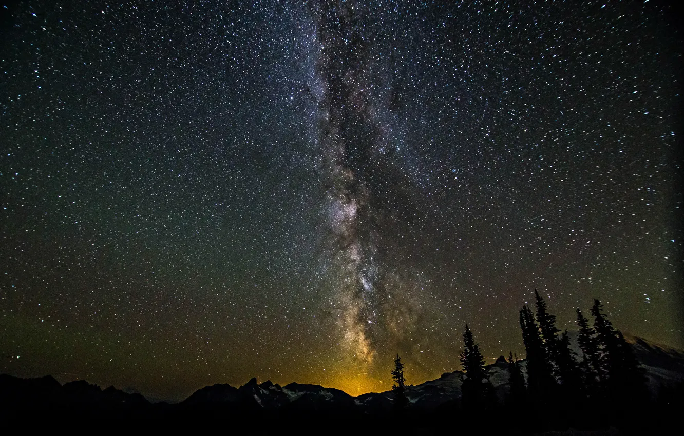 Фото обои лес, космос, звезды, деревья, горы, ночь, пространство, млечный путь