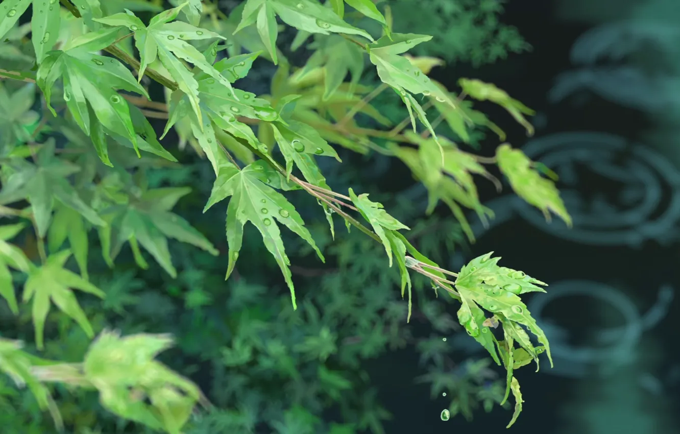 Фото обои листья, Kotonoha no Niwa, Сад слов, Макато Синкай