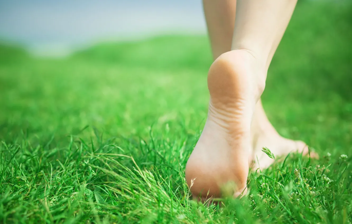Фото обои зелень, трава, девушка, природа, фон, обои, ноги, настроения