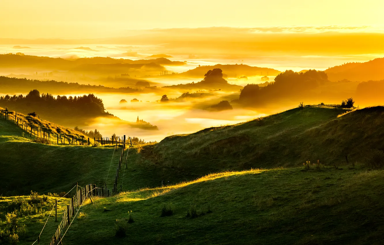 Фото обои New Zealand, Foggy, Golden Sunrise