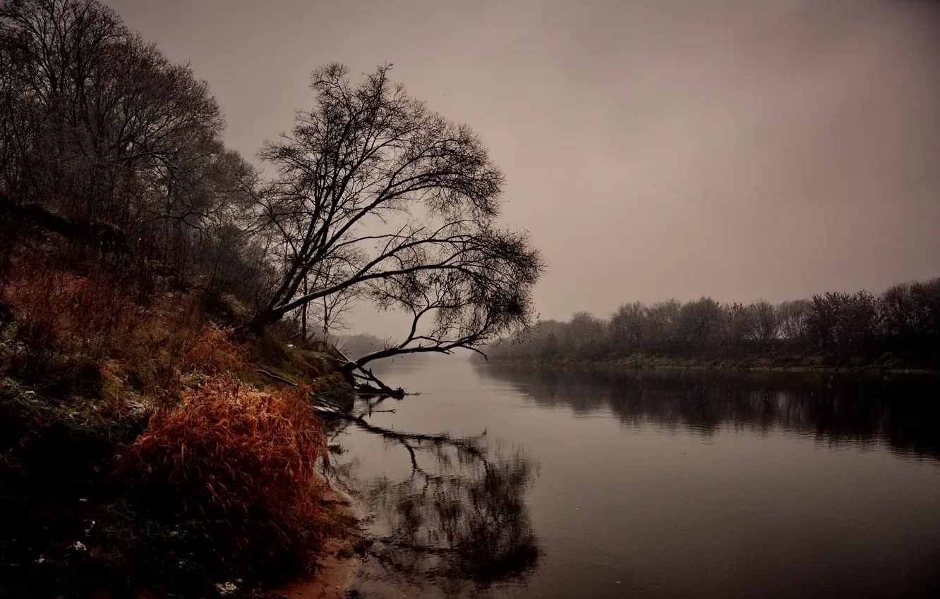 Фото обои осень, пейзаж, природа, река, хмурое утро