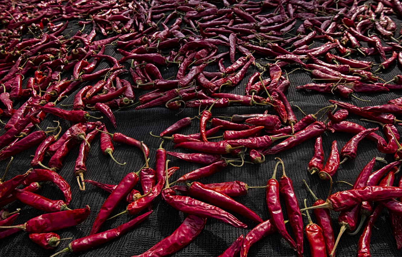 Фото обои еда, перец, Red Hot Chilli Pepper