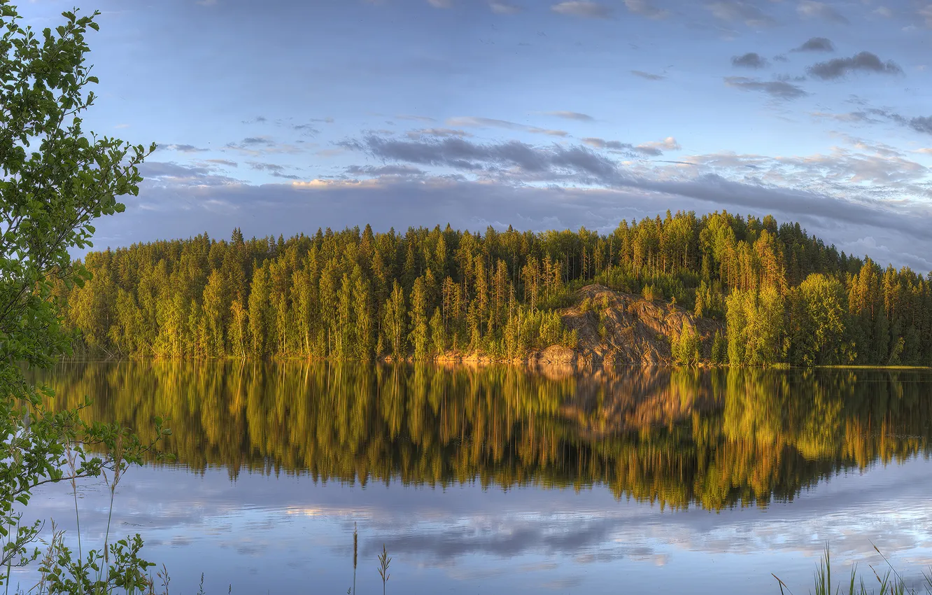 Фото обои forest, water, lake, reflection