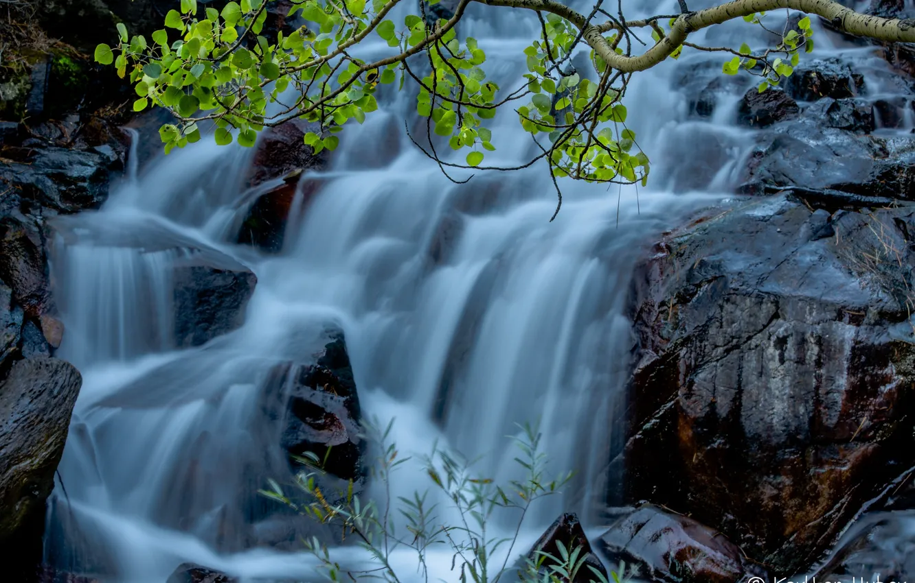 Фото обои вода, камни, скалы, листва, водопад, поток, ветка