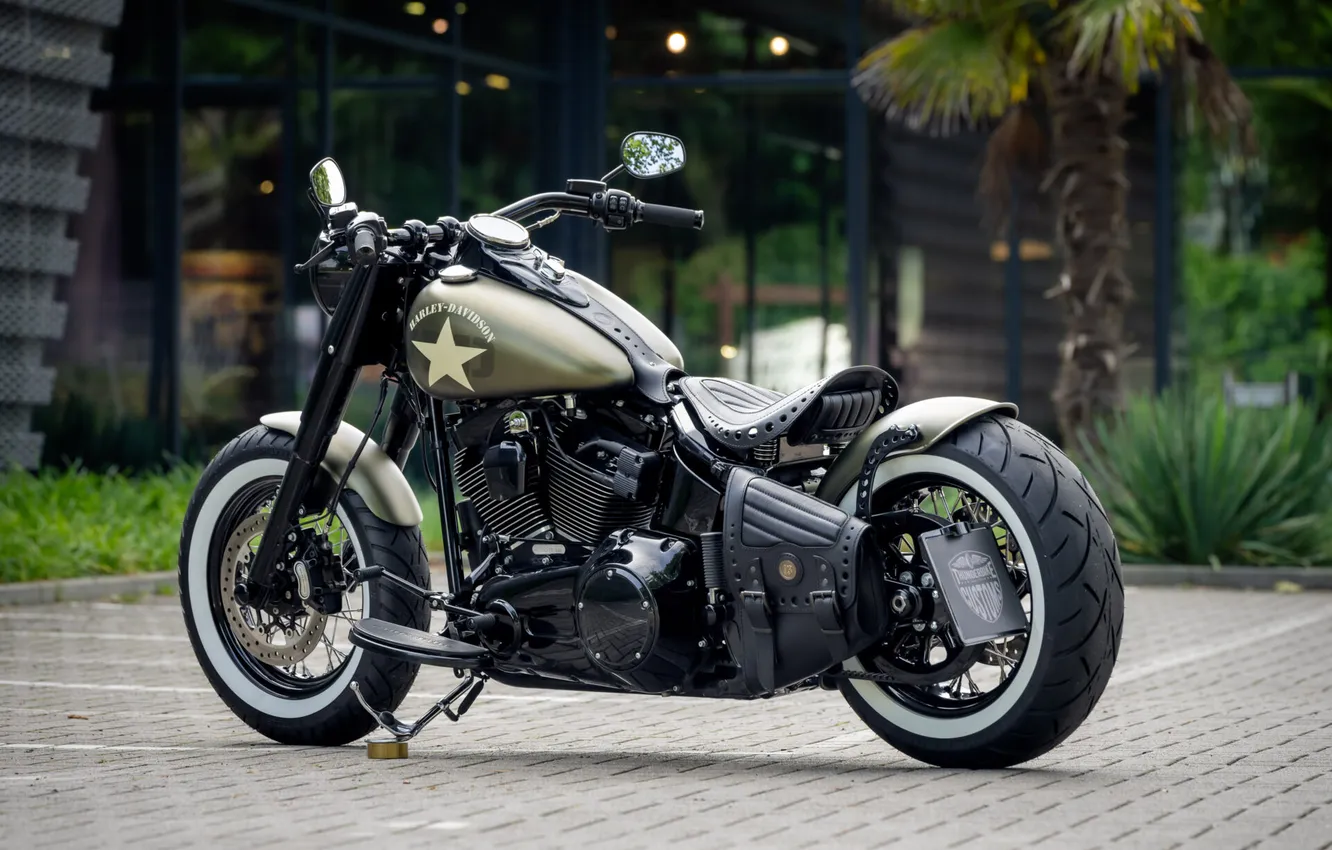 Фото обои Harley-Davidson, Tuning, Softail, Rear, Customized, Thunderbike, Olive Joe, Custombikes