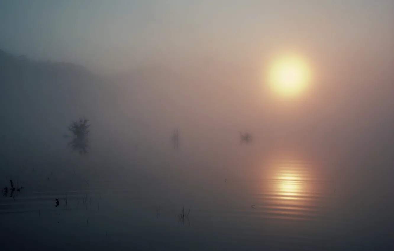 Фото обои солнце, туман, озеро