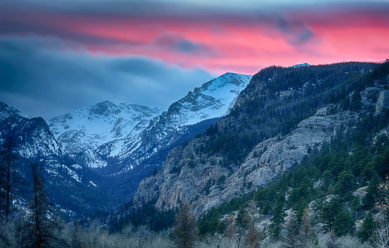 Фото обои лес, небо, облака, деревья, горы, природа, Colorado, Rocky Mountain National Park