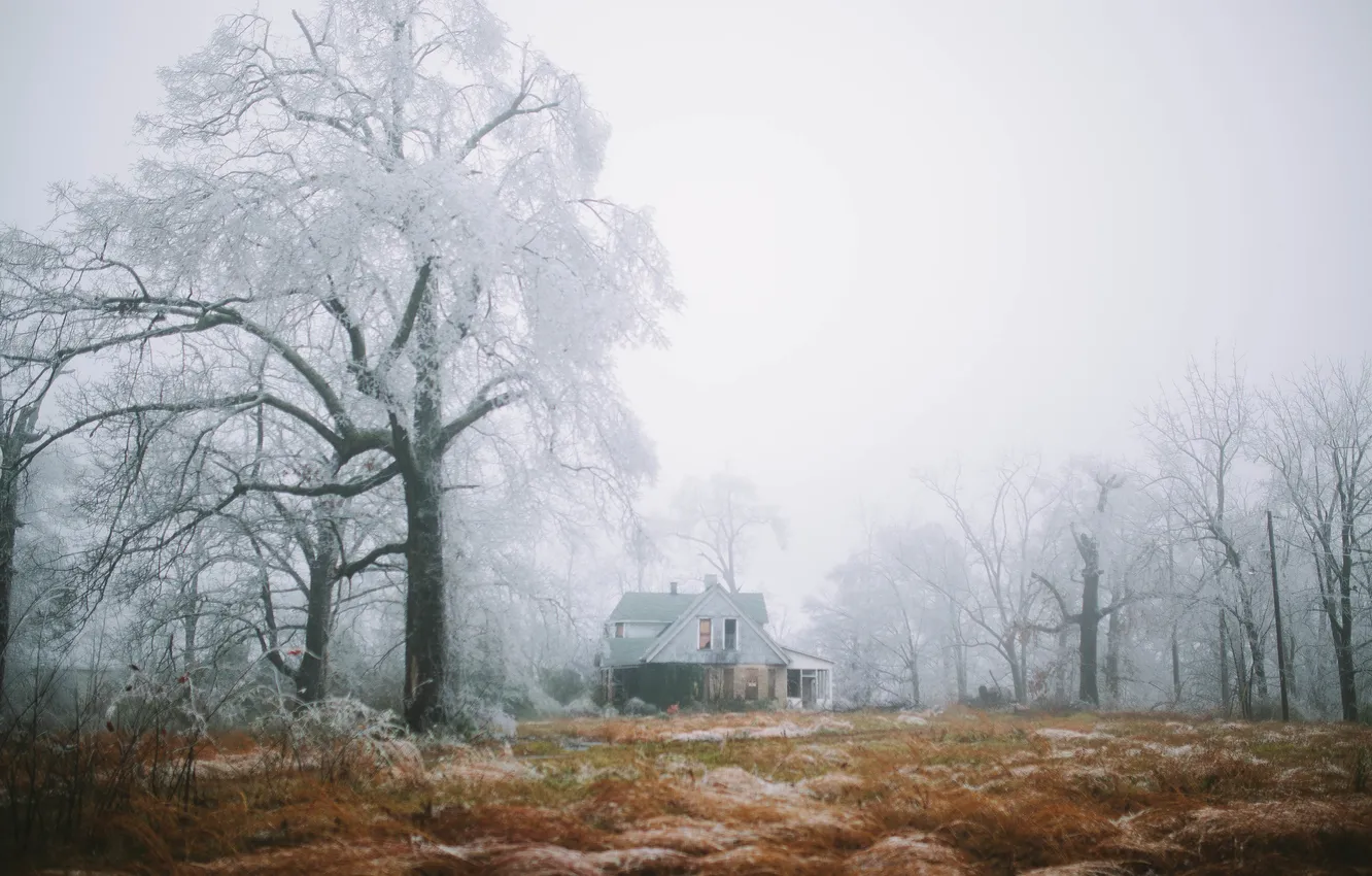 Фото обои зима, деревья, туман, дом, ферма