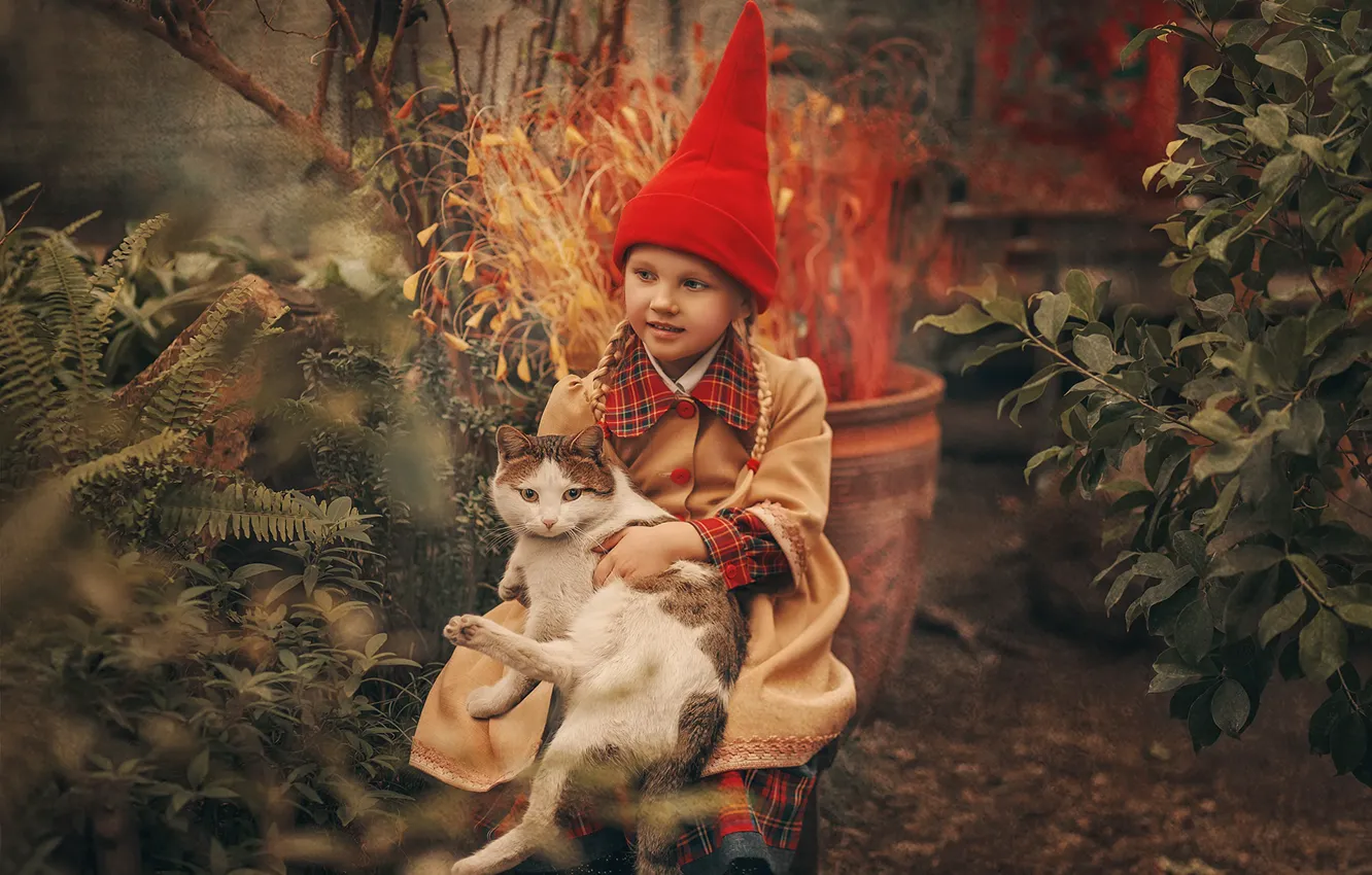 Фото обои кошка, кот, настроение, девочка, косички, гном, колпак, Юлия Бугаева
