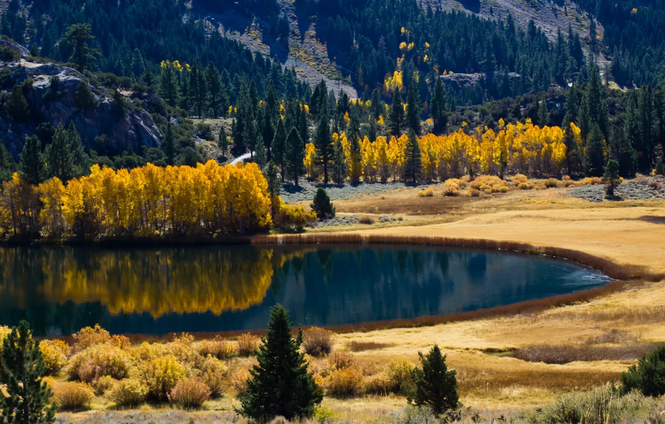 Фото обои осень, лес, природа, озеро
