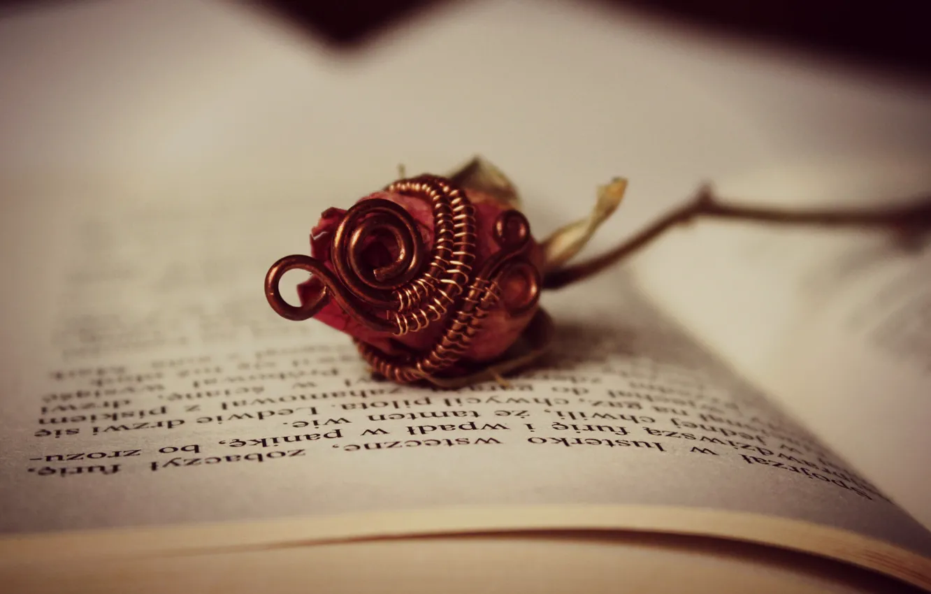 Фото обои цветок, роза, книга, страницы