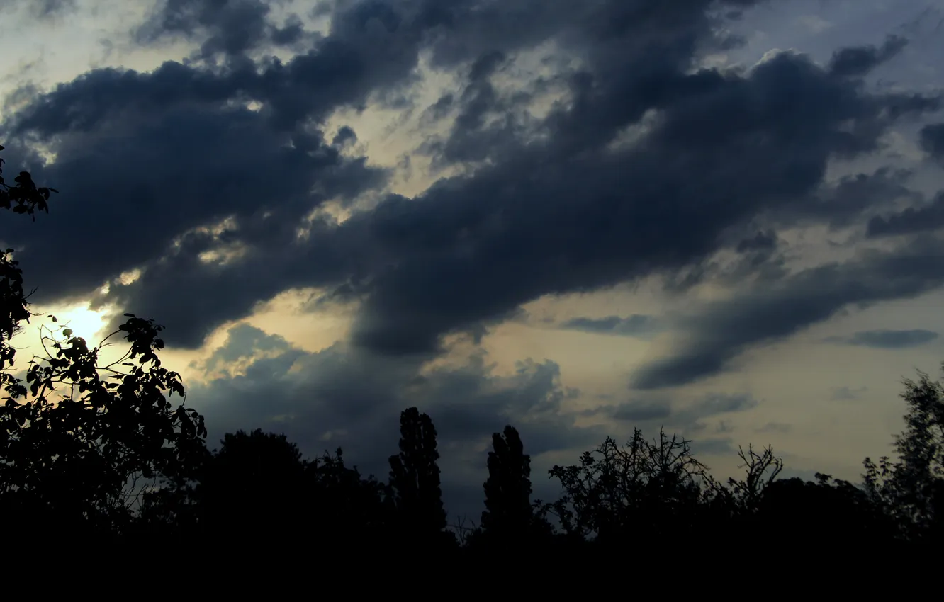 Фото обои dark, sky, cloud