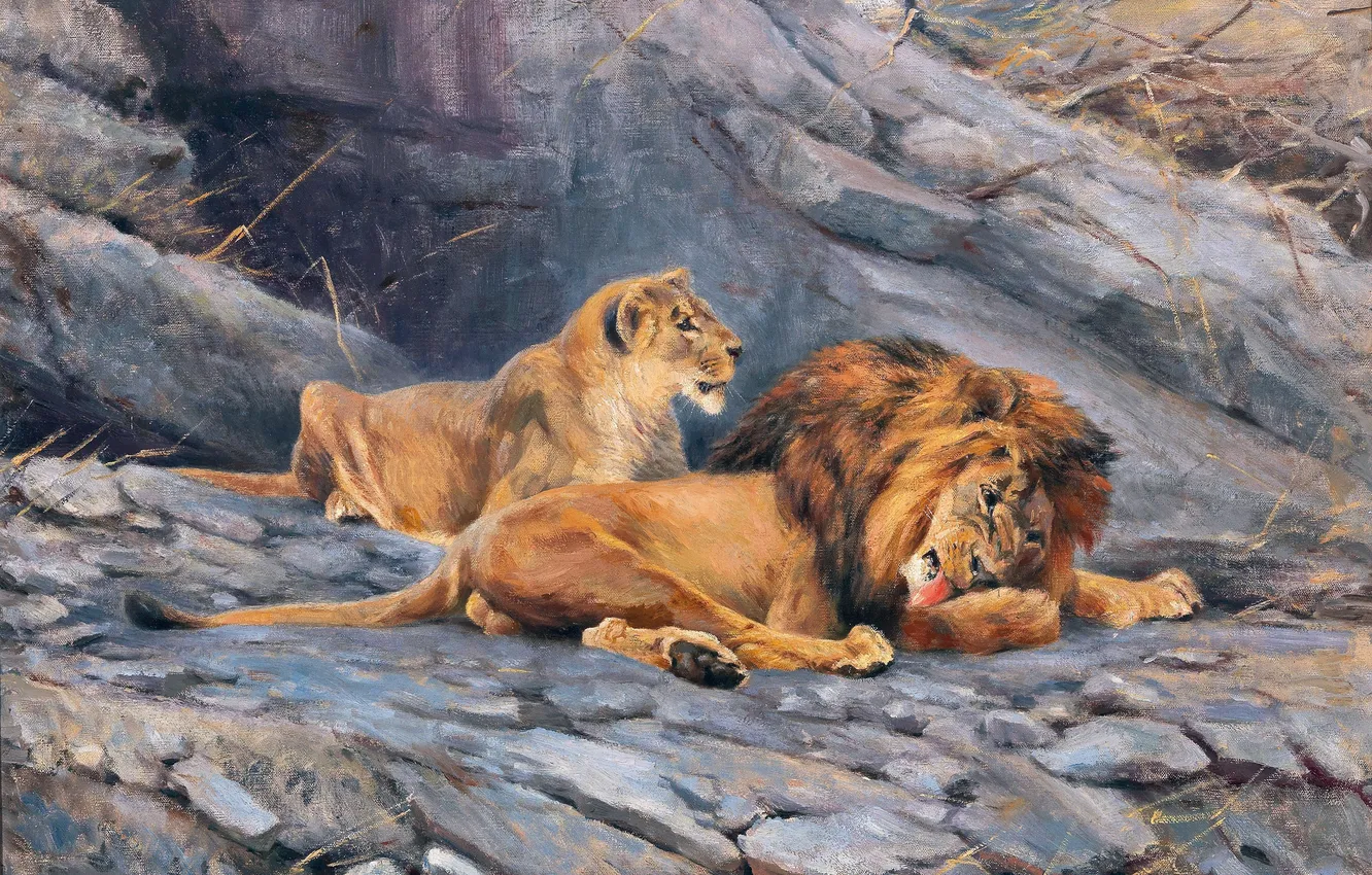 Фото обои Львица, Картина, Лев, Двое, Большие кошки, Немецкий художник, Wilhelm Lorenz, Вильгельм Лоренц