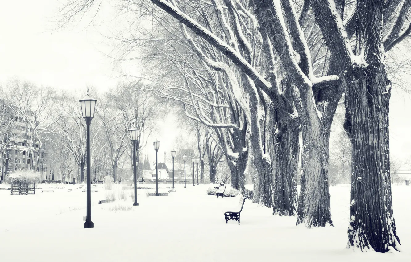 Фото обои зима, снег, парк, лавочка, фонарь