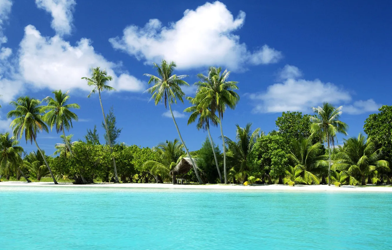 Фото обои песок, вода, пальмы, океан, тропический остров, пляж.море