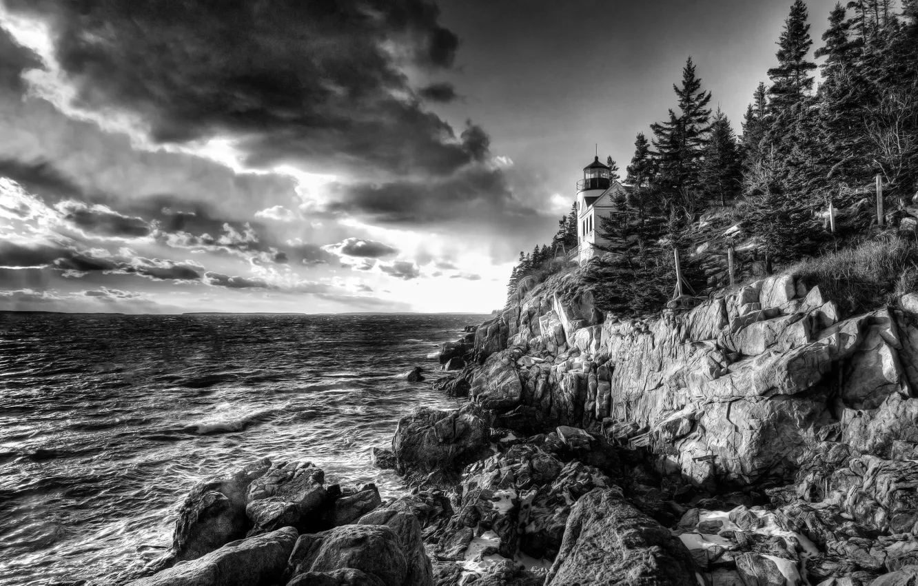 Фото обои деревья, пейзаж, океан, скалы, маяк, черно-белое фото