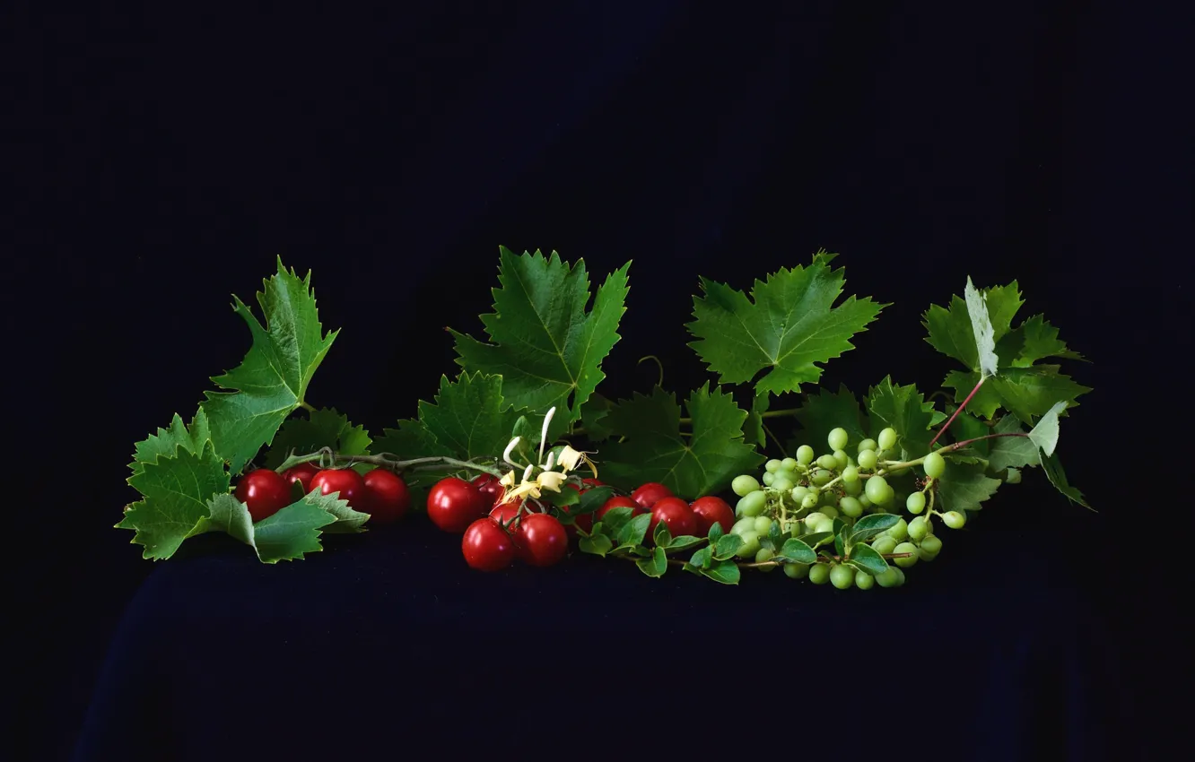 Фото обои листья, виноград, помидоры